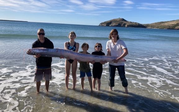 The oarfish washed up at Aramoana beach.