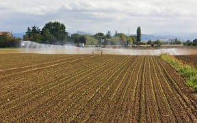 Irrigator