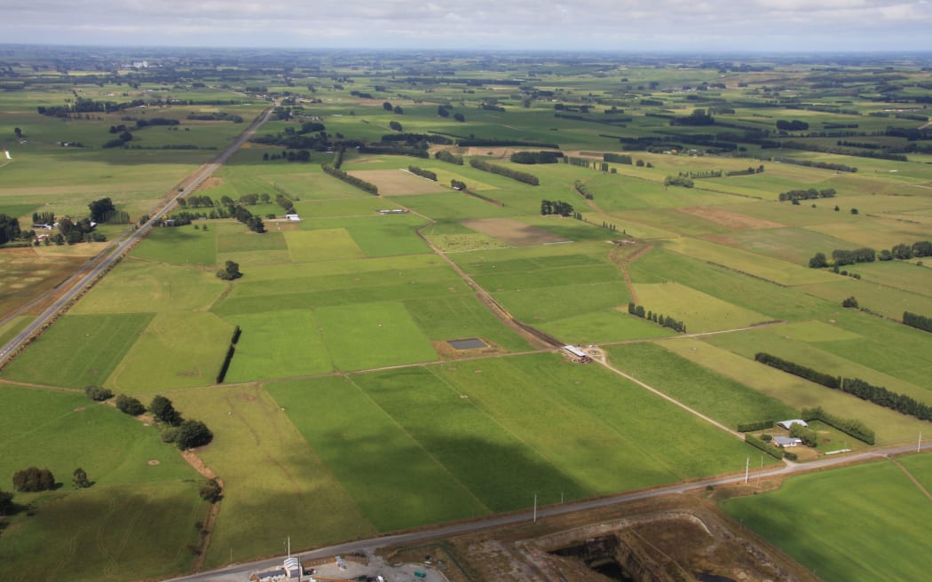 Dairy paddocks in Southland
