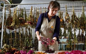 The Sydney Jewish Museum believes there is a positive unity story that can be told through these floral tributes from the Bondi attack.