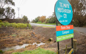 Te Mata Mushroom Company in Havelock North