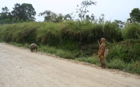 A woman and her pig, roadside, Hela Province, Papua New Guinea.
