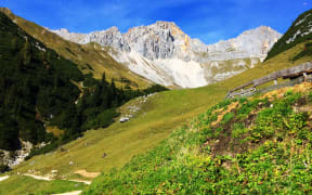 Photo of field and mountain in the Austrian alps