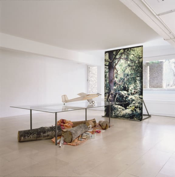 Simon Starling's Le Jardin Suspendu installation, at a previous exhibition.