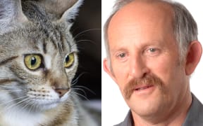 A cat and Gareth Morgan