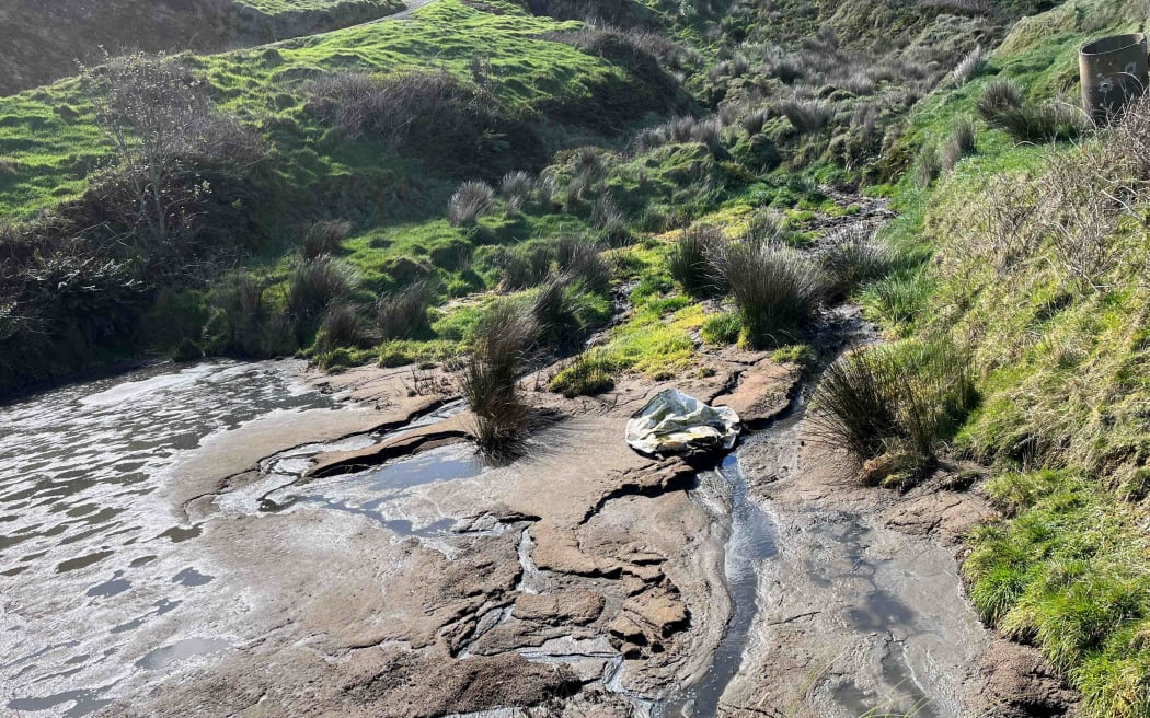 Contaminated tributary receiving waste piggery effluent from the concrete holding tanks.