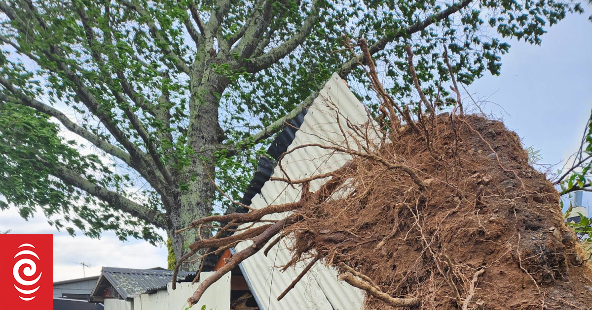 In pictures: Strong winds, heavy rain lashes Wellington and South Island