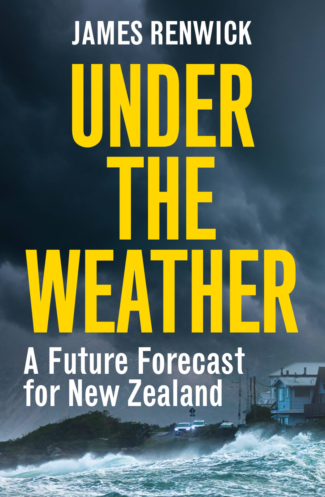 Under The Weather book cover