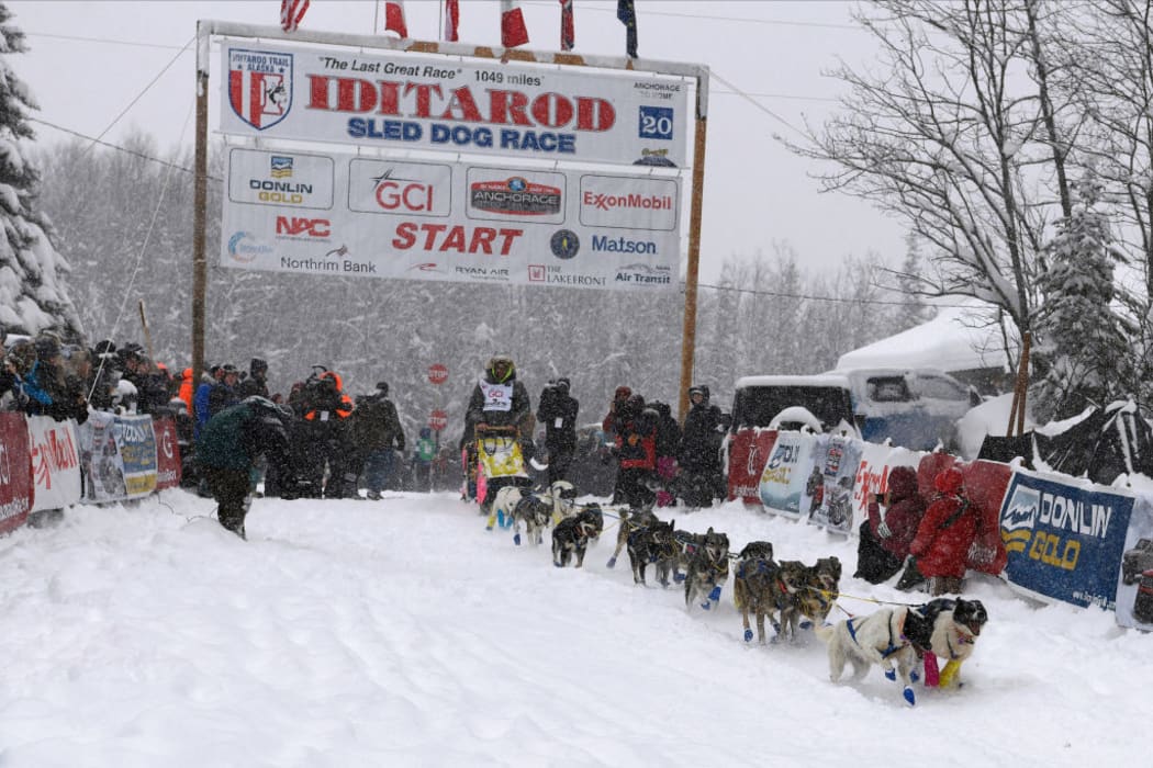 Wade Marrs (Willow, AK) drives his team from the starting line during the restart of the 2020 Iditarod Sled Dog Race at Willow Lake on March 8, 2020 in Willow, Alaska.