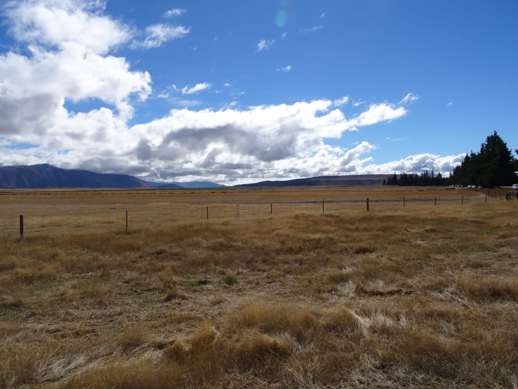 Classic tussock that could give way to fodder crops.