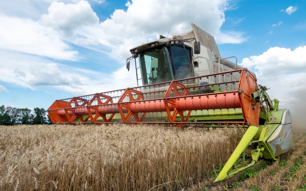 Farmers harvest a wheat field in the Ukrainian region of Kharkiv on 19 July, 2022.