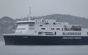 Bluebridge Livia