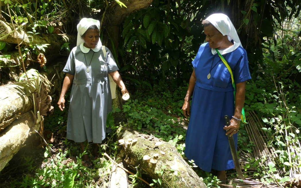 Two women are standing in a forest. Between the two ladies is a log covered with growing mushrooms. They are both looking at the log. Their outfits give them impession they are both nuns. One in blue and one in grey.