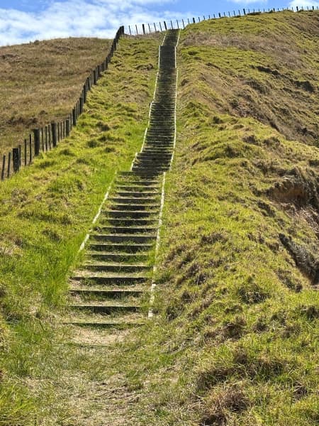 A stairway to heavenly views on the Pahi Coastal Walk.