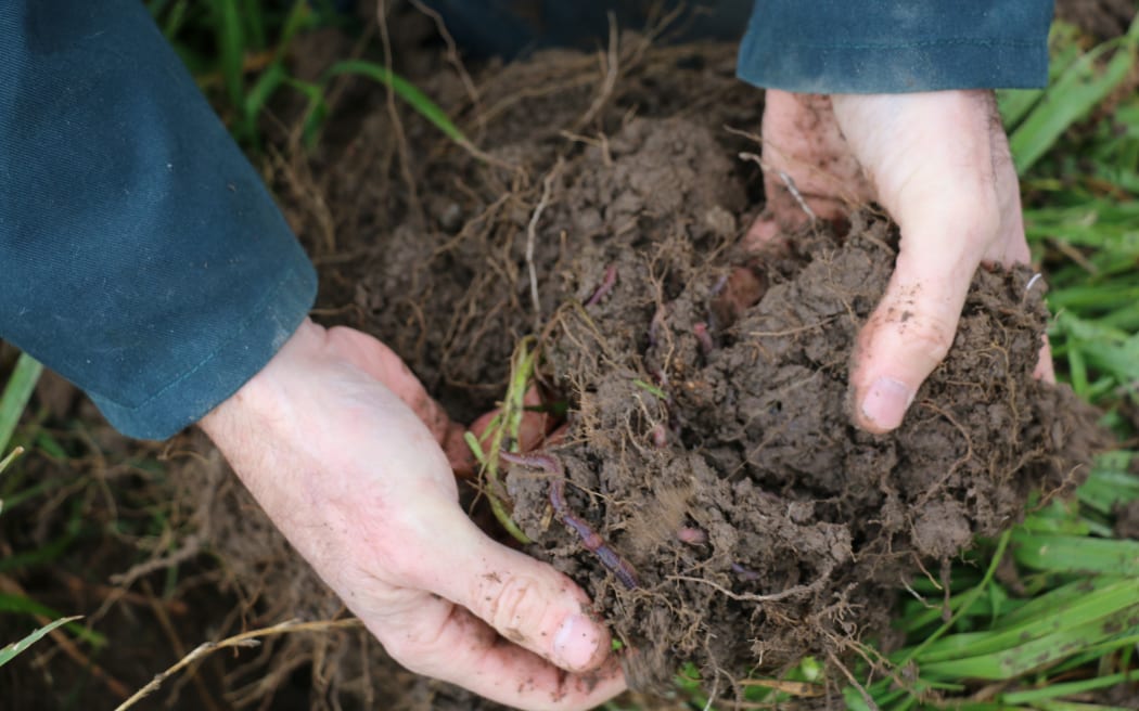 Mark Anderson - Regenerative Farmer in South Otago