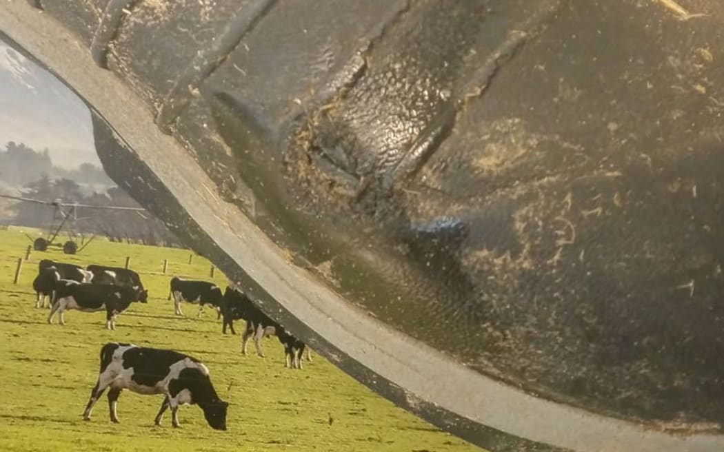 A close-up picture of Chris Wilson's gumboot which was damaged by lightning with the farm in the background.