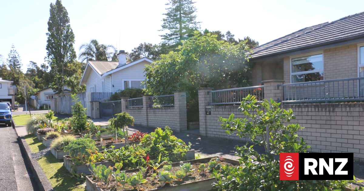The busy little berm garden helping feed a community