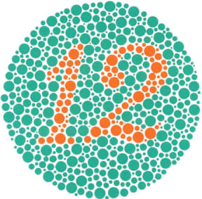 Ishihara Colour Vision Test