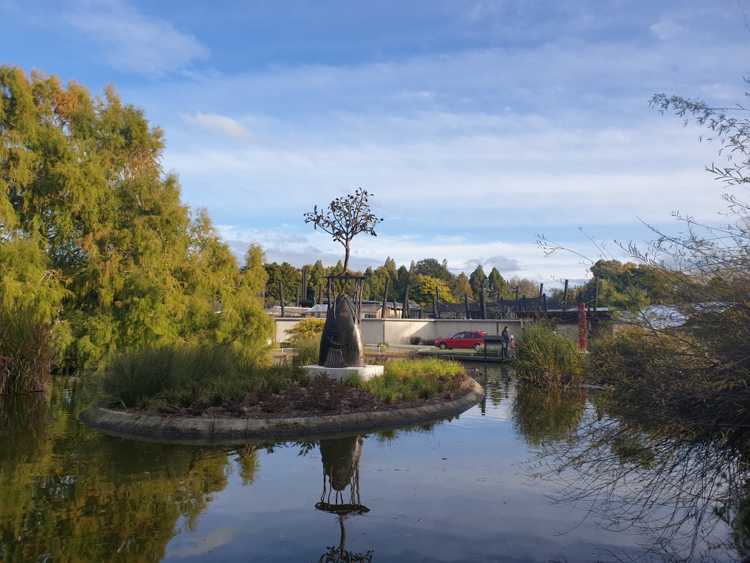 Inside the Central Energy Trust Wildbase Recovery facility in Palmerston North
