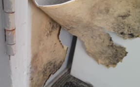 Black mould is pictured in the failed Healthy Homes inspection report.