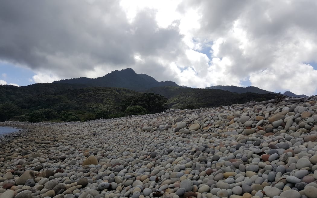 Te Hauturu-o-Toi / Little Barrier Island.