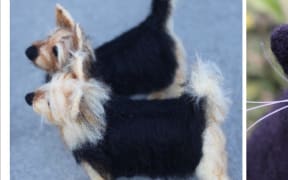 Kapiti coast artist Diana Steven creates miniature animals based on people's own pets.