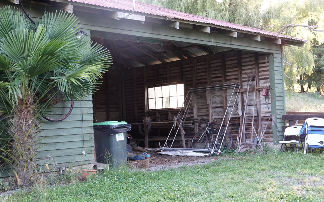 A colony of long-tailed bats have been found roosting in an unlikely spot: a farm shed roof in Central Hawke's Bay.