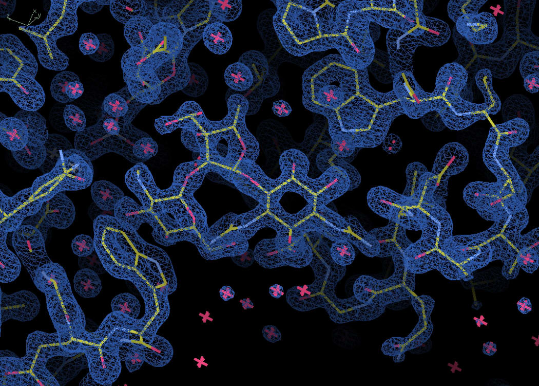 An electron density map of part of the antibiotic resistance enzyme AadA. The central shape is a molecule of the antibiotic streptomycin, which is designed to lock onto this particular binding site.