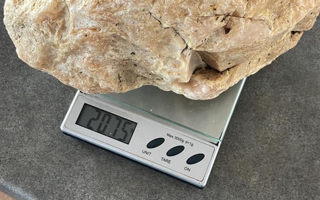 The lump of kauri resin found by 9 year old Callan and seven year old Eva McMillan while wandering the shore in Coromandel.