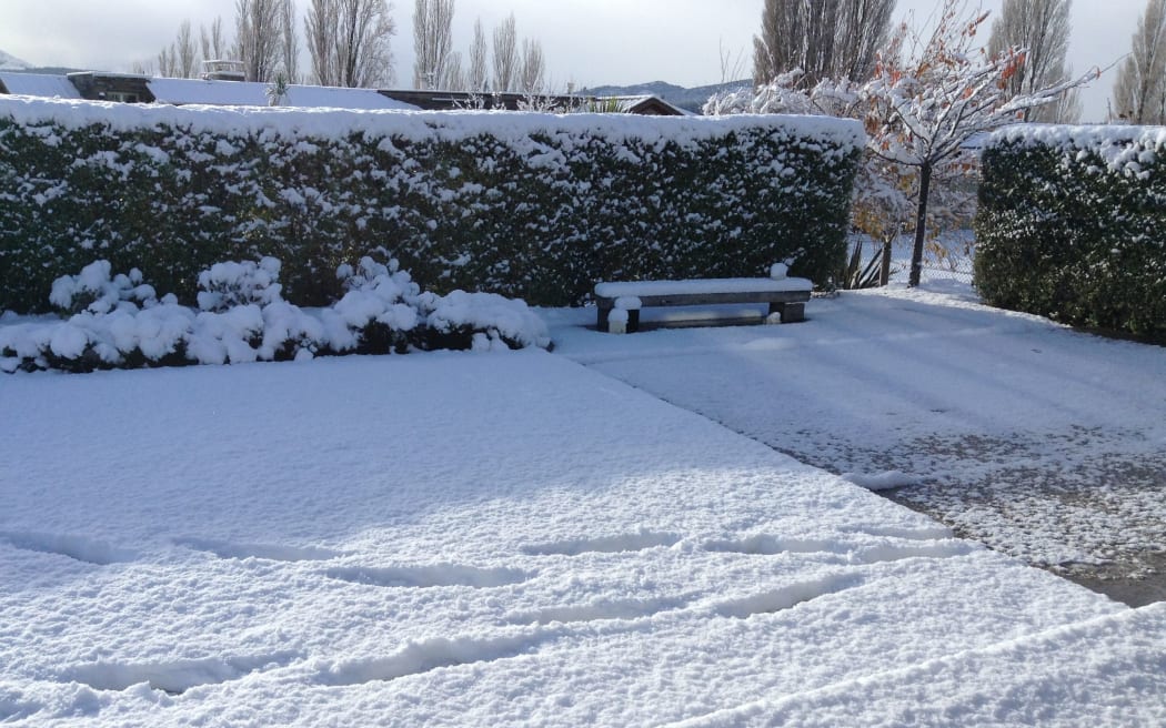 A white Wanaka garden.