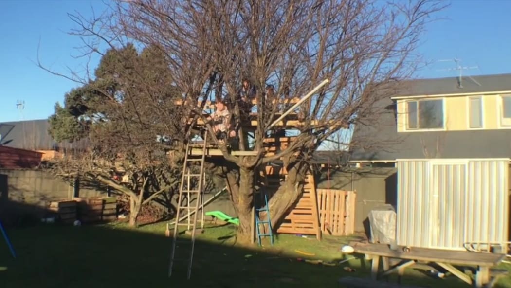 Dunedin City Council ruled the treehouse in a Mosgiel section breached the Building Act.