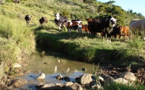 Hatea River