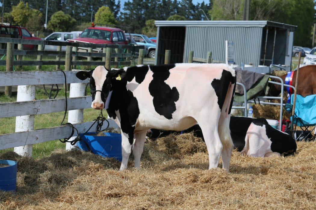 ag show