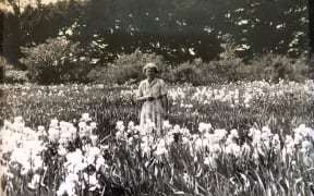 Jean Stevens with her irises, 1955.
