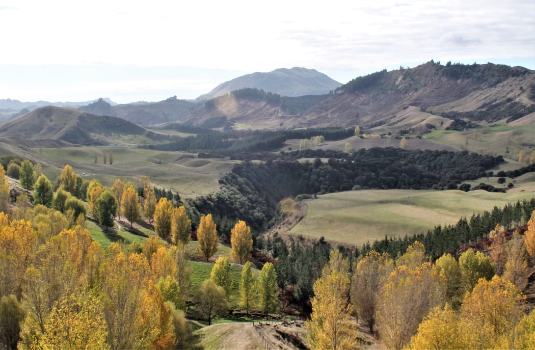 The QEII Trust protected gully (the dark area in centre) winds through the Potters Elsthorpe farm