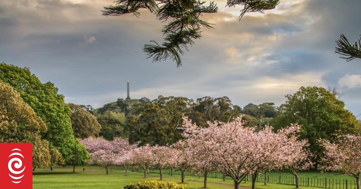 What makes Cornwall Park so special?