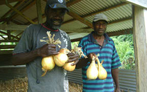 Vanuatu onion farmer