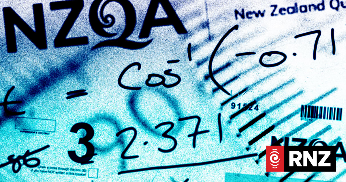 'Those opportunities don't happen frequently': Panel calls for changes to NCEA replacement