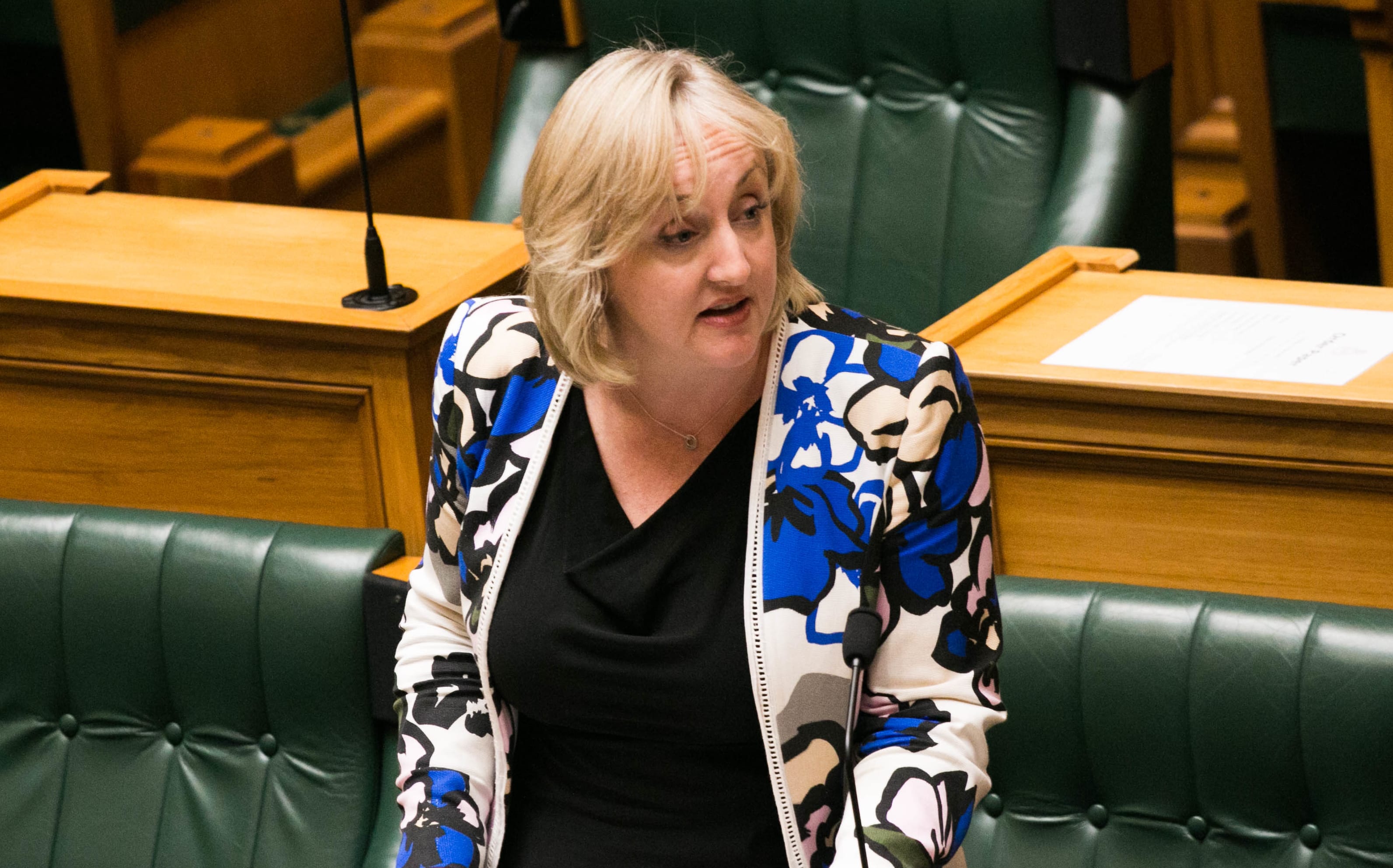 National MP Amy Adams speaks at the first reading of the Family and Whanau Violence Legislation Bill.