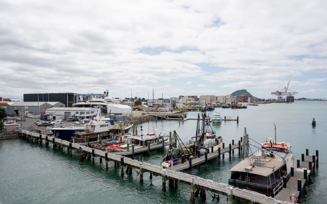 Tauranga's marine precinct has been sold, forcing most of the boats that berth there to leave. Photo / Brydie Thompson