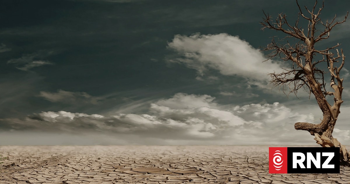 Mediawatch: 'News desert' warning | RNZ