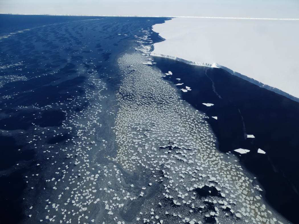 The seaward edge of the Ross Ice Shelf Edge, where thousands of small icebergs calve from the ice edge.