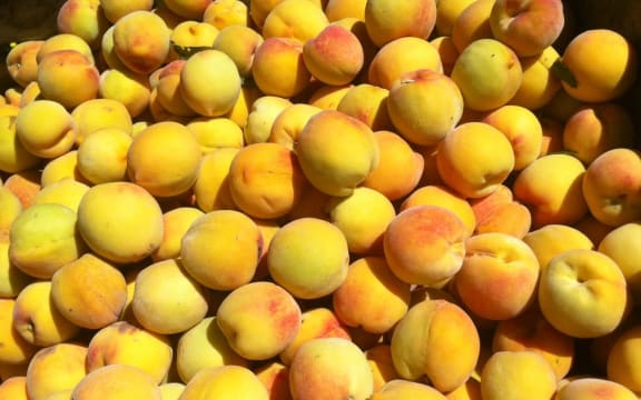 Wattie's peaches.