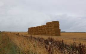 Hay stacked on a Canterbury farm in February 2023