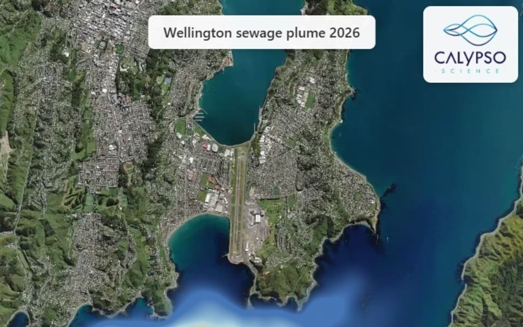 Calypso Science was a New Plymouth based oceanography research company, with a focus on coastal currents.  It created a model of Wellington's south coast after the news of the Moa Point sewage plant failure.