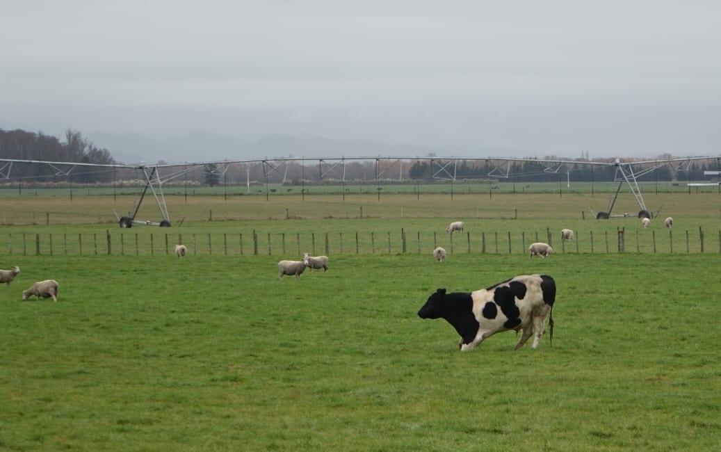 The Ruataniwha Plains which would be irrigated by the dam.