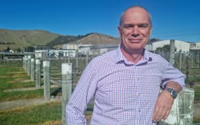 Half a century on from first planting of world famous Marlborough wine ...