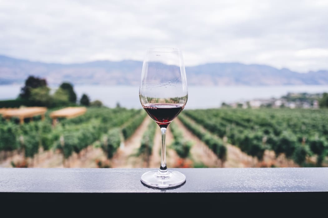 Wine glass on railing, wine, grapes, vines, stock image, generic