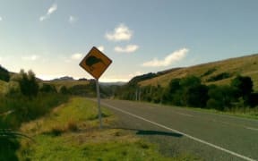 Kiwi Signpost near Mt. Bruce Native Bird Reserve, Wairarapa,