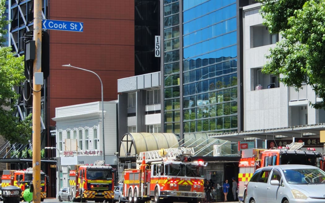 Police and firefighters were called to the scene of an alleged attempted car theft in an apartment building on Hobson Street in central Auckland on Sunday. Police arrested a man at the scene and took him away.